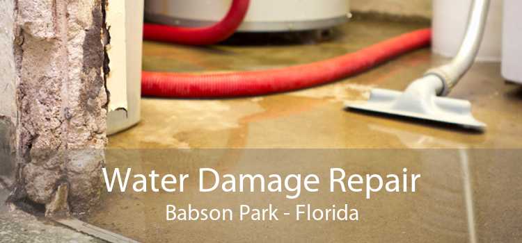 Water Damage Repair Babson Park - Florida