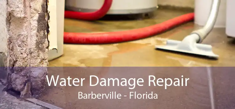 Water Damage Repair Barberville - Florida