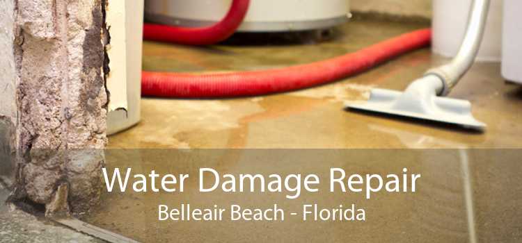 Water Damage Repair Belleair Beach - Florida