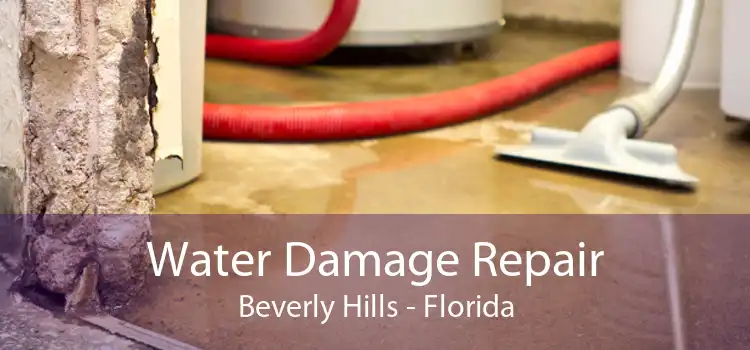 Water Damage Repair Beverly Hills - Florida