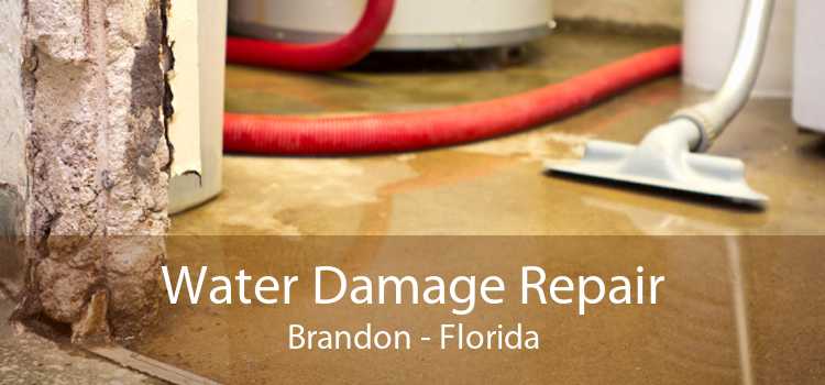 Water Damage Repair Brandon - Florida