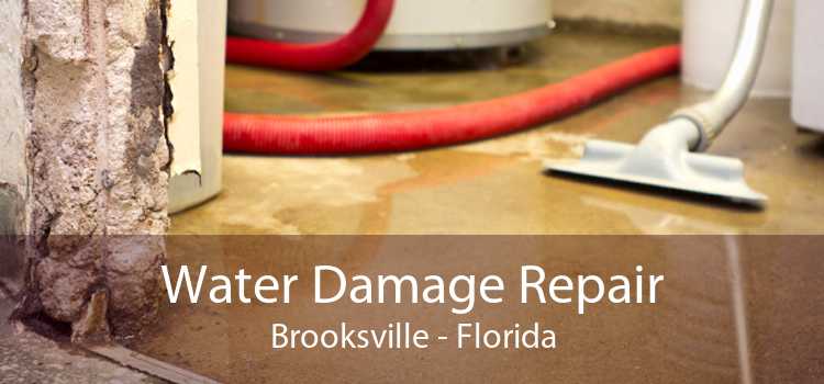 Water Damage Repair Brooksville - Florida