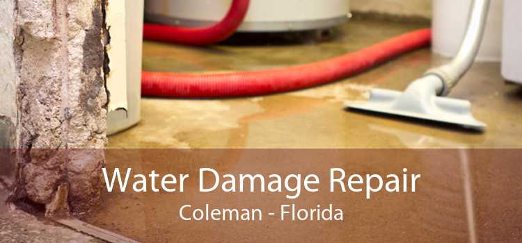 Water Damage Repair Coleman - Florida