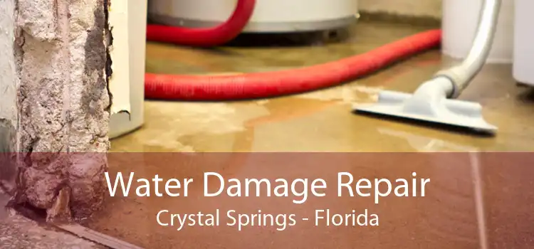 Water Damage Repair Crystal Springs - Florida