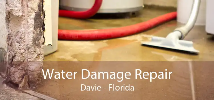 Water Damage Repair Davie - Florida