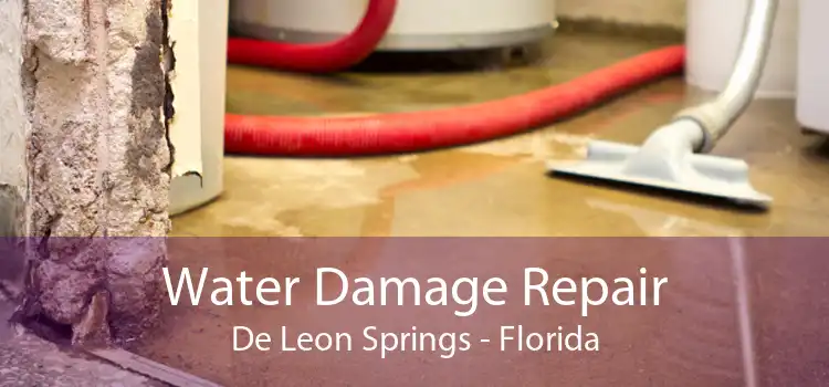 Water Damage Repair De Leon Springs - Florida