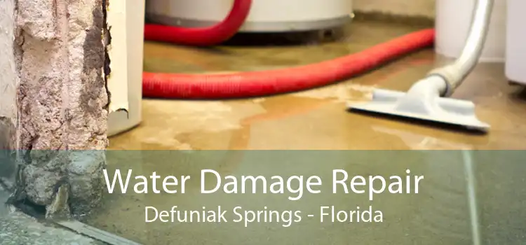 Water Damage Repair Defuniak Springs - Florida