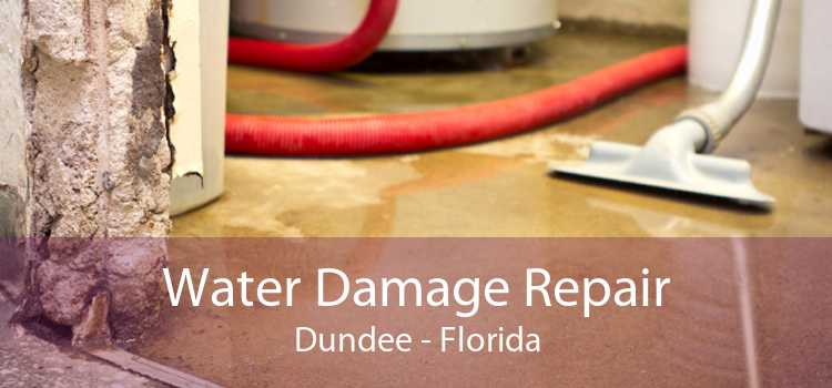 Water Damage Repair Dundee - Florida