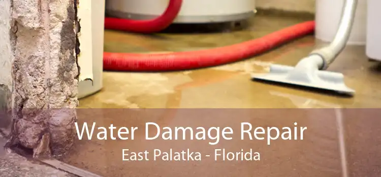 Water Damage Repair East Palatka - Florida