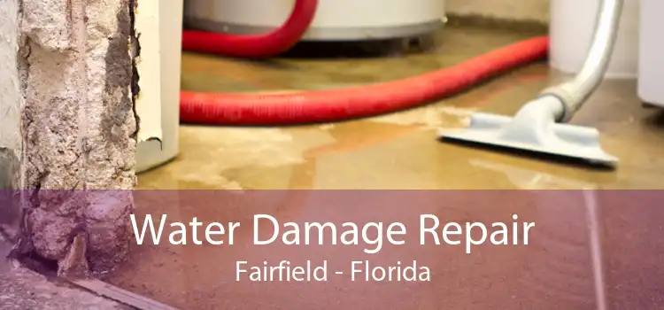 Water Damage Repair Fairfield - Florida
