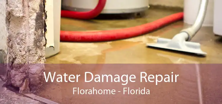 Water Damage Repair Florahome - Florida