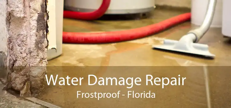 Water Damage Repair Frostproof - Florida