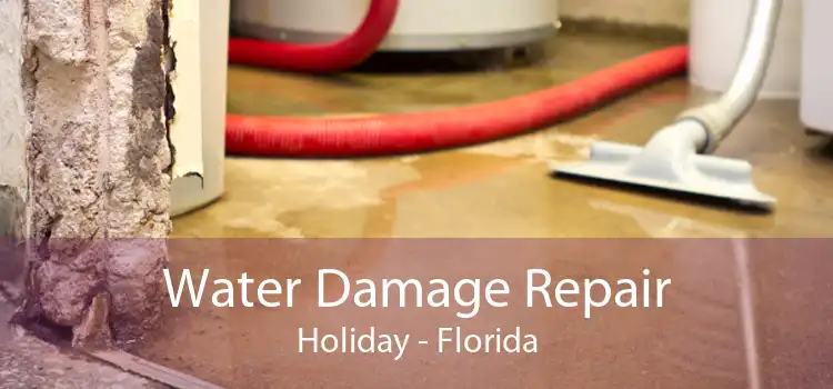 Water Damage Repair Holiday - Florida