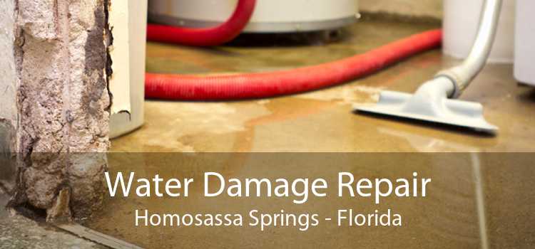 Water Damage Repair Homosassa Springs - Florida