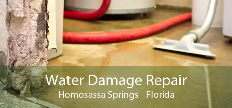 Water Damage Repair Homosassa Springs - Florida