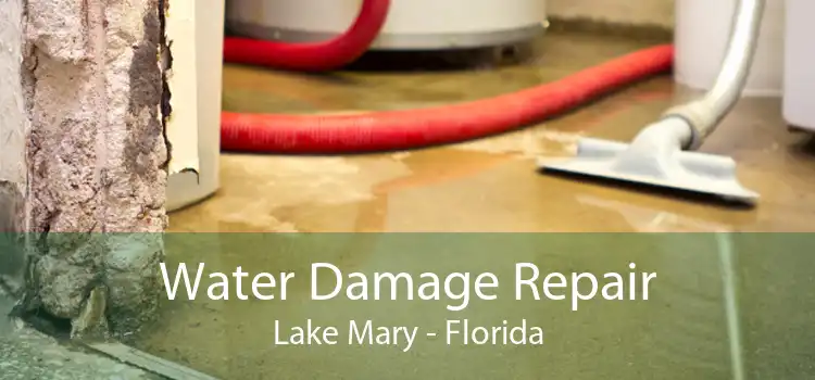 Water Damage Repair Lake Mary - Florida