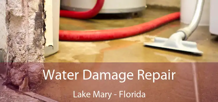 Water Damage Repair Lake Mary - Florida