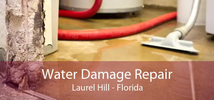 Water Damage Repair Laurel Hill - Florida