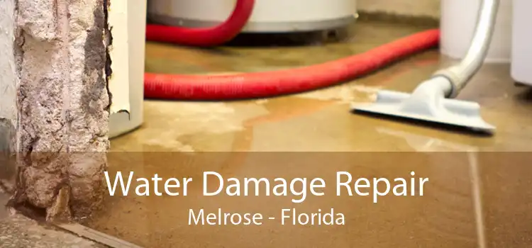 Water Damage Repair Melrose - Florida