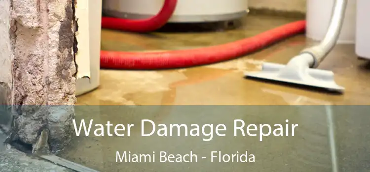 Water Damage Repair Miami Beach - Florida