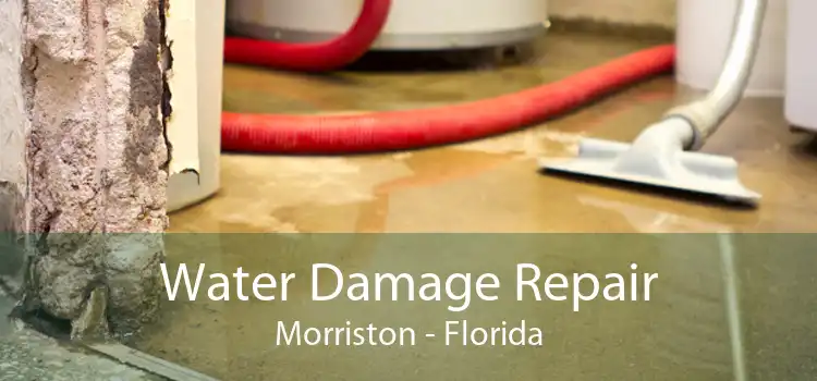 Water Damage Repair Morriston - Florida
