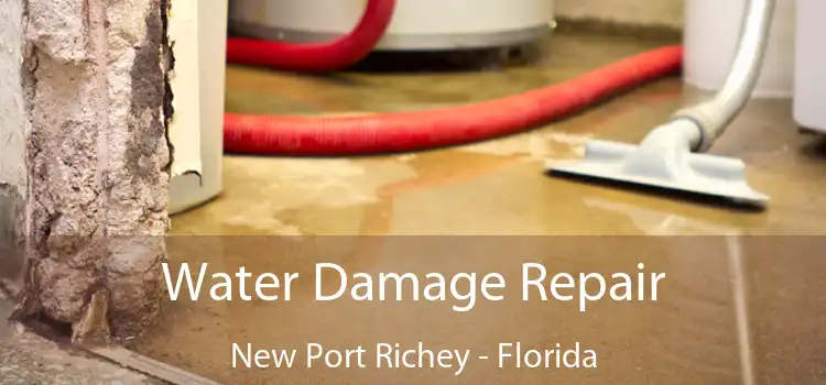 Water Damage Repair New Port Richey - Florida