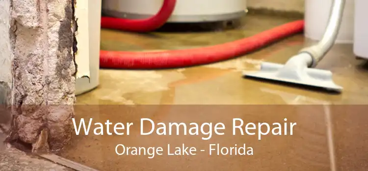 Water Damage Repair Orange Lake - Florida