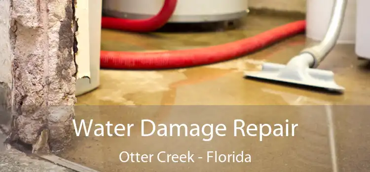 Water Damage Repair Otter Creek - Florida