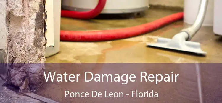 Water Damage Repair Ponce De Leon - Florida