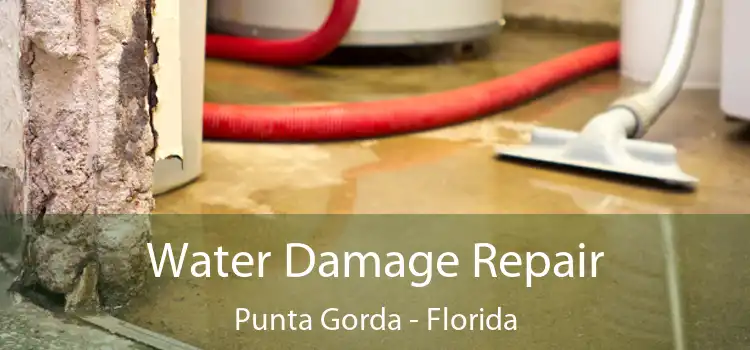 Water Damage Repair Punta Gorda - Florida