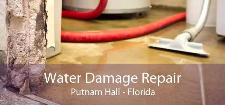 Water Damage Repair Putnam Hall - Florida