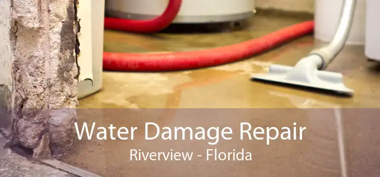 Water Damage Repair Riverview - Florida
