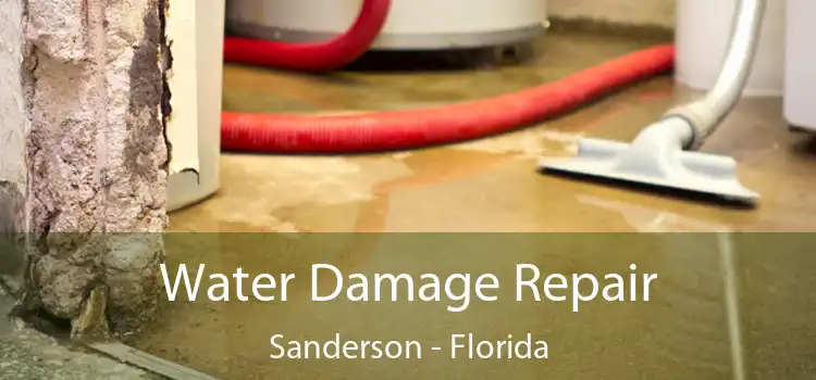 Water Damage Repair Sanderson - Florida