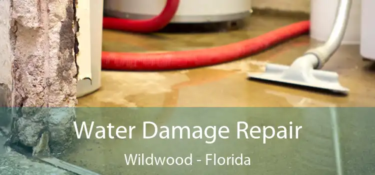 Water Damage Repair Wildwood - Florida