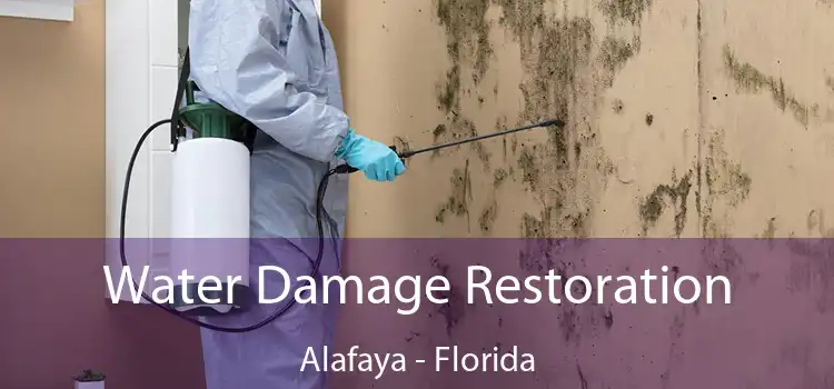 Water Damage Restoration Alafaya - Florida