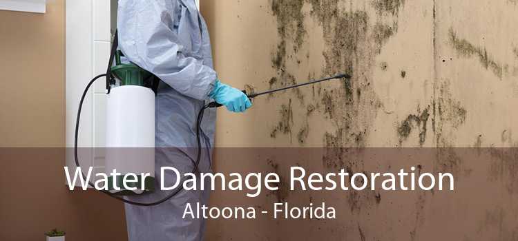 Water Damage Restoration Altoona - Florida