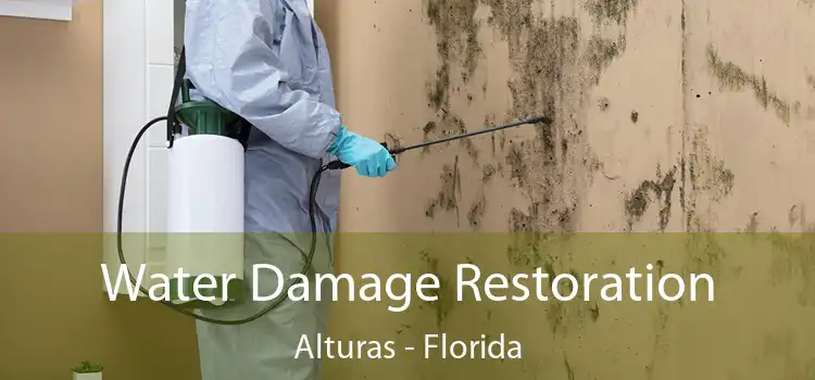 Water Damage Restoration Alturas - Florida