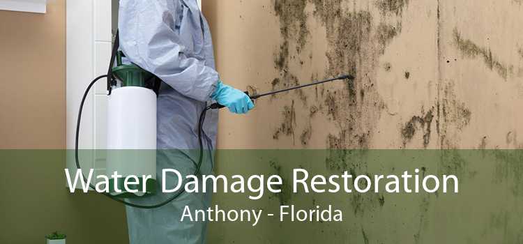 Water Damage Restoration Anthony - Florida