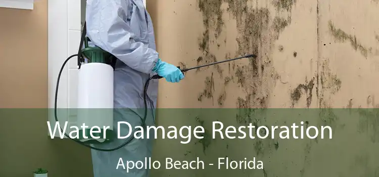 Water Damage Restoration Apollo Beach - Florida