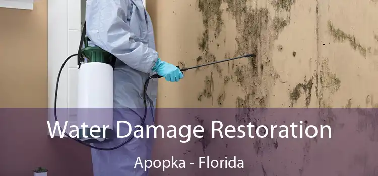 Water Damage Restoration Apopka - Florida