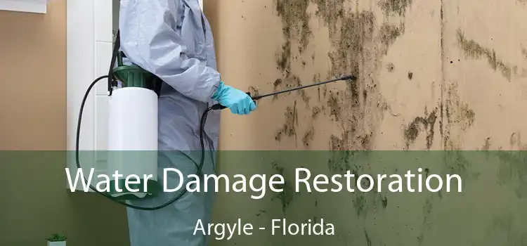 Water Damage Restoration Argyle - Florida