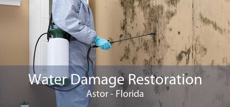 Water Damage Restoration Astor - Florida