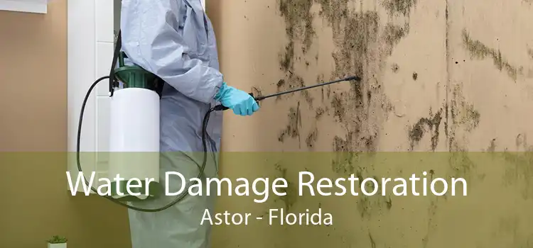 Water Damage Restoration Astor - Florida