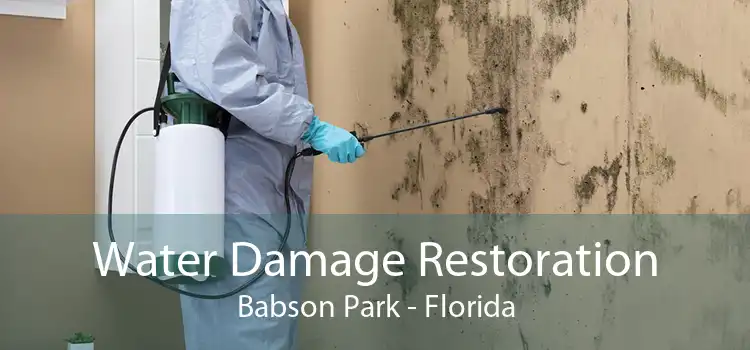 Water Damage Restoration Babson Park - Florida
