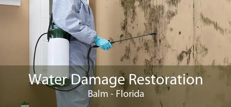 Water Damage Restoration Balm - Florida