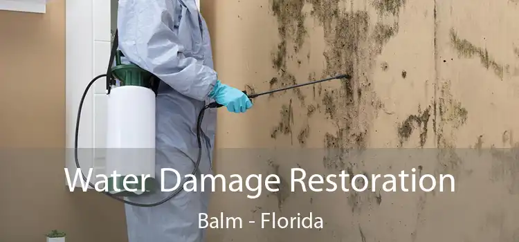 Water Damage Restoration Balm - Florida