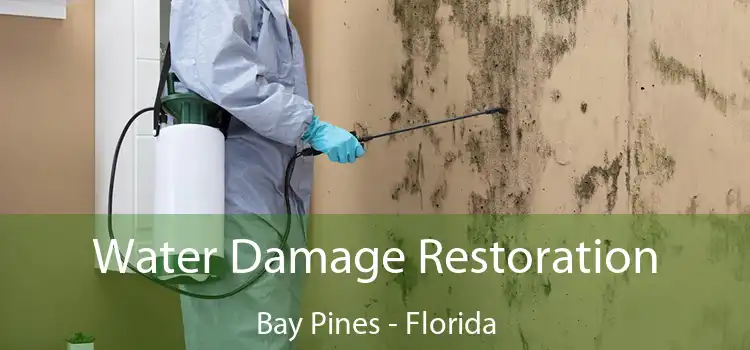 Water Damage Restoration Bay Pines - Florida