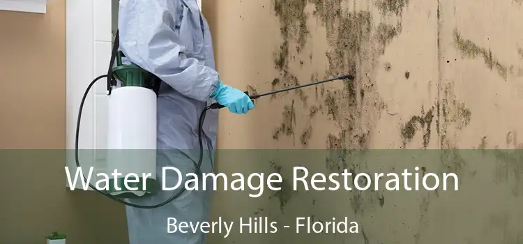 Water Damage Restoration Beverly Hills - Florida