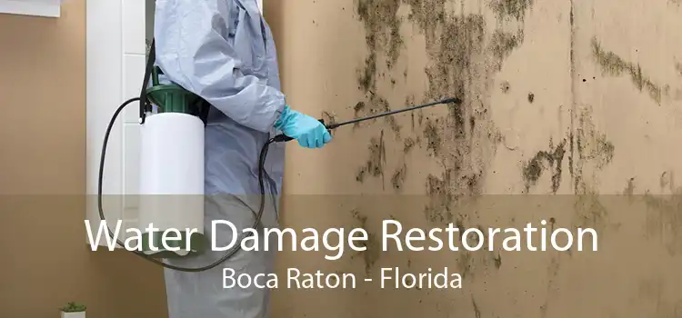 Water Damage Restoration Boca Raton - Florida