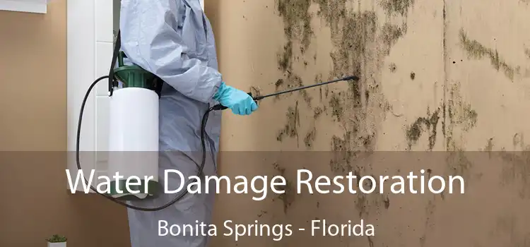 Water Damage Restoration Bonita Springs - Florida